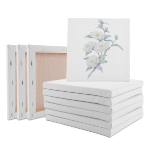 Канвас со рамка за сликање